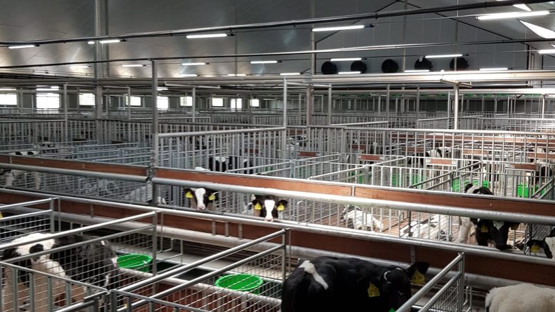 亚马逊关键词优化：揭秘提升产品曝光率的秘密武器